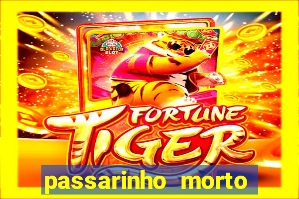 passarinho morto significado espiritual