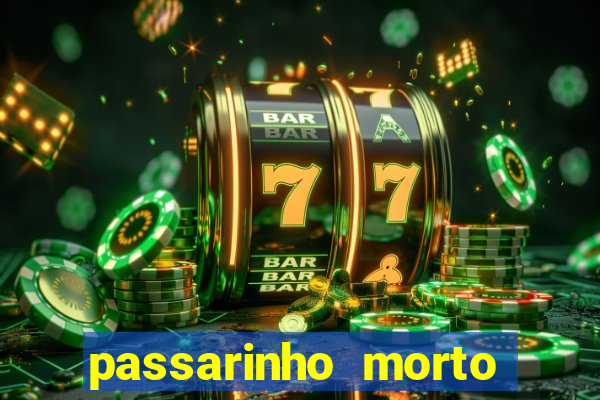 passarinho morto significado espiritual