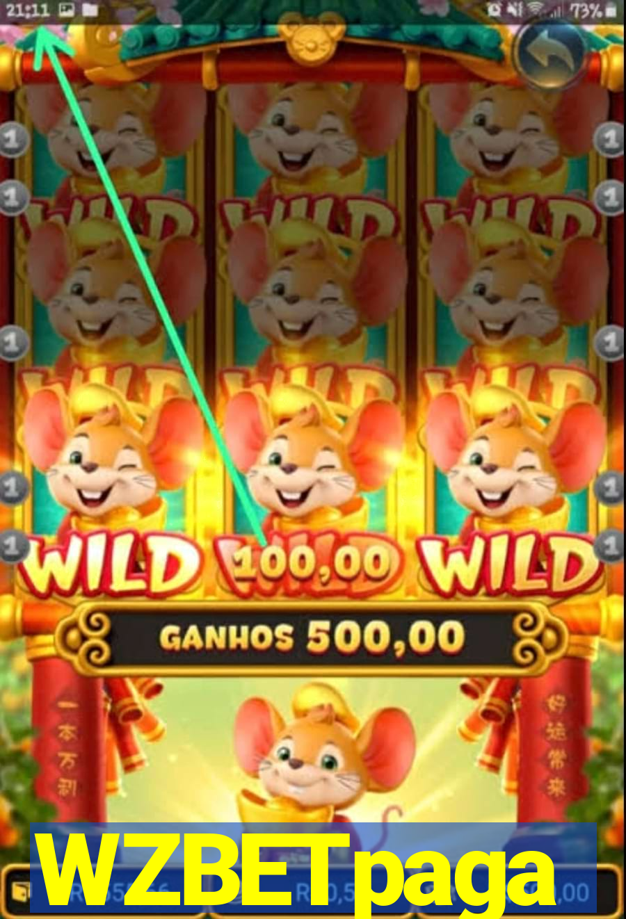 WZBETpaga