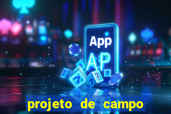 projeto de campo de futebol em cad