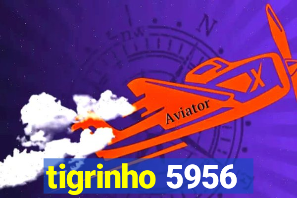 tigrinho 5956