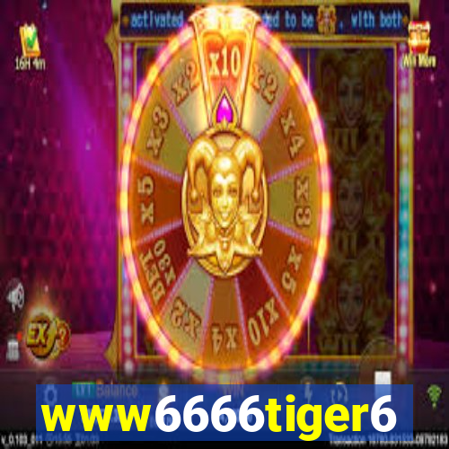 www6666tiger6