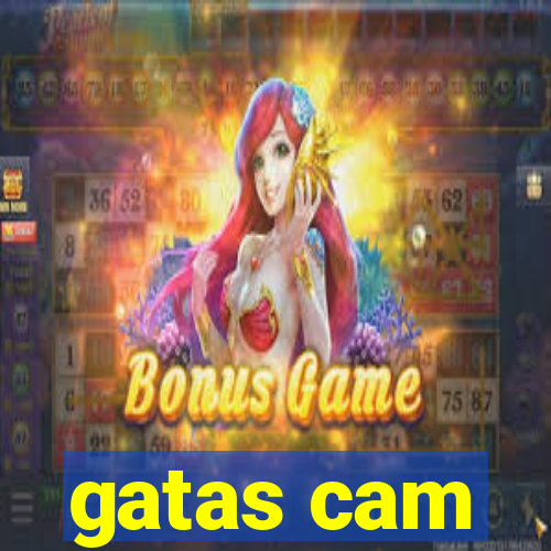 gatas cam