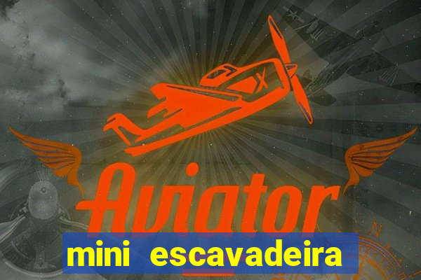 mini escavadeira aluguel rj