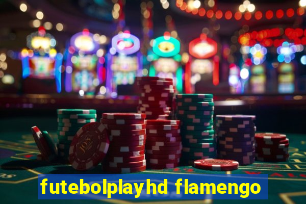 futebolplayhd flamengo