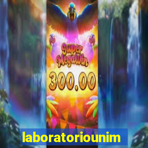 laboratoriounimedblumenau.com.br