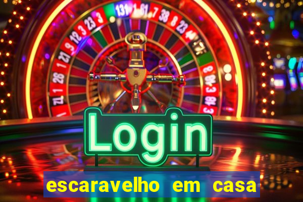 escaravelho em casa significado espiritual