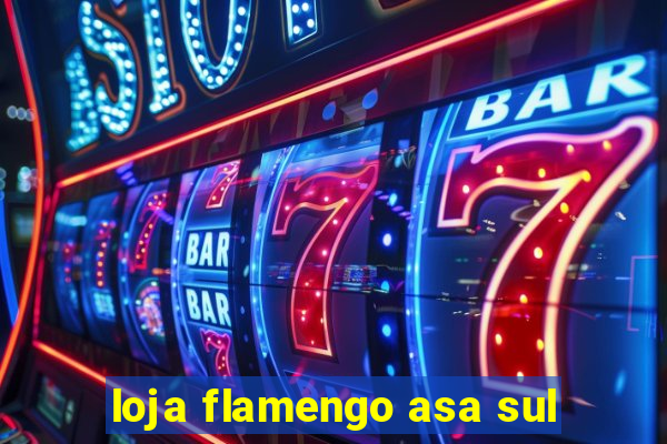 loja flamengo asa sul
