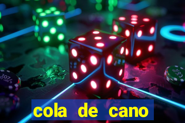 cola de cano quanto tempo para secar