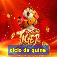 ciclo da quina