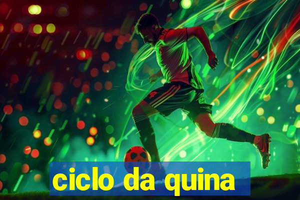 ciclo da quina