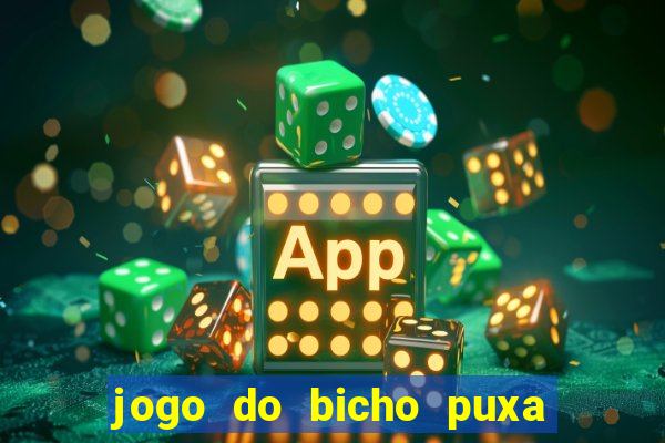 jogo do bicho puxa de dona maria
