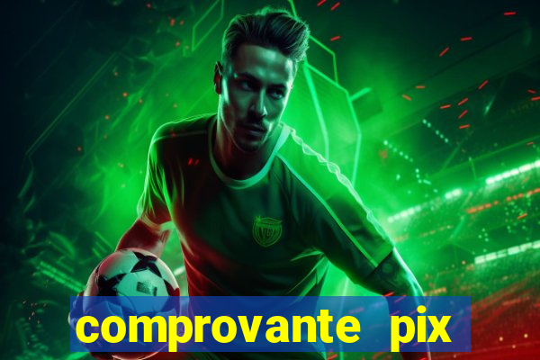 comprovante pix fake meme