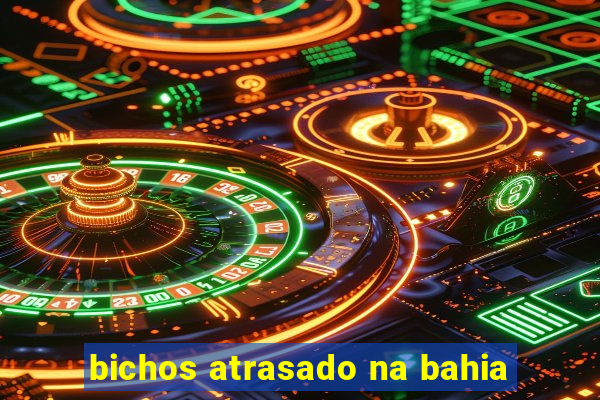 bichos atrasado na bahia