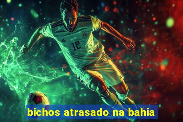 bichos atrasado na bahia