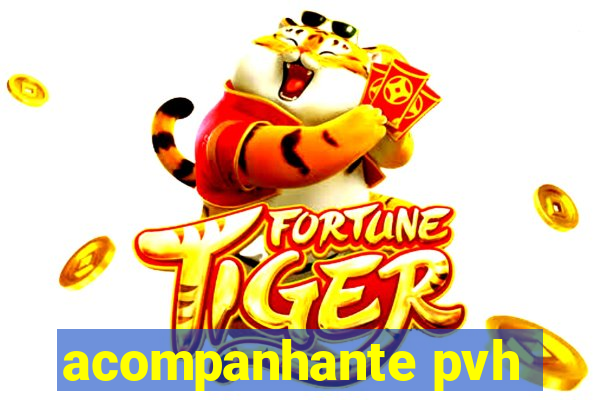 acompanhante pvh