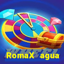 RomaX agua sanitaria fispq agua sanitaria romax