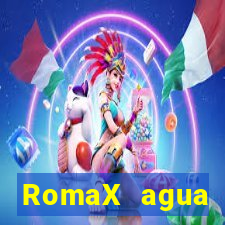 RomaX agua sanitaria fispq agua sanitaria romax