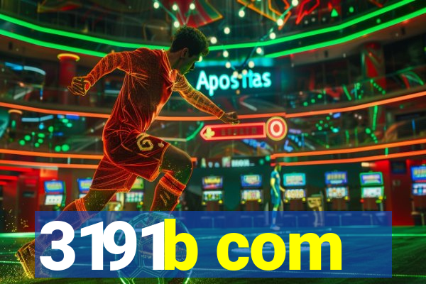 3191b com