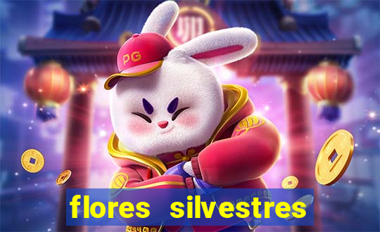 flores silvestres desbravadores desbravadores 25 flores silvestres e seus nomes