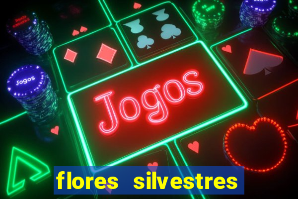 flores silvestres desbravadores desbravadores 25 flores silvestres e seus nomes