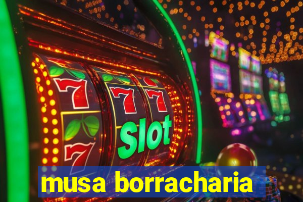 musa borracharia
