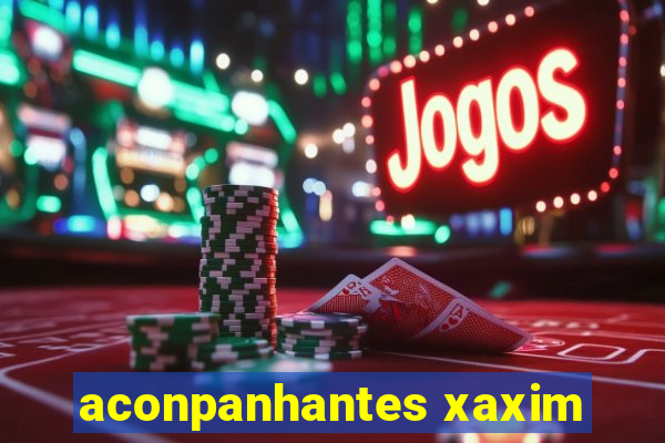 aconpanhantes xaxim