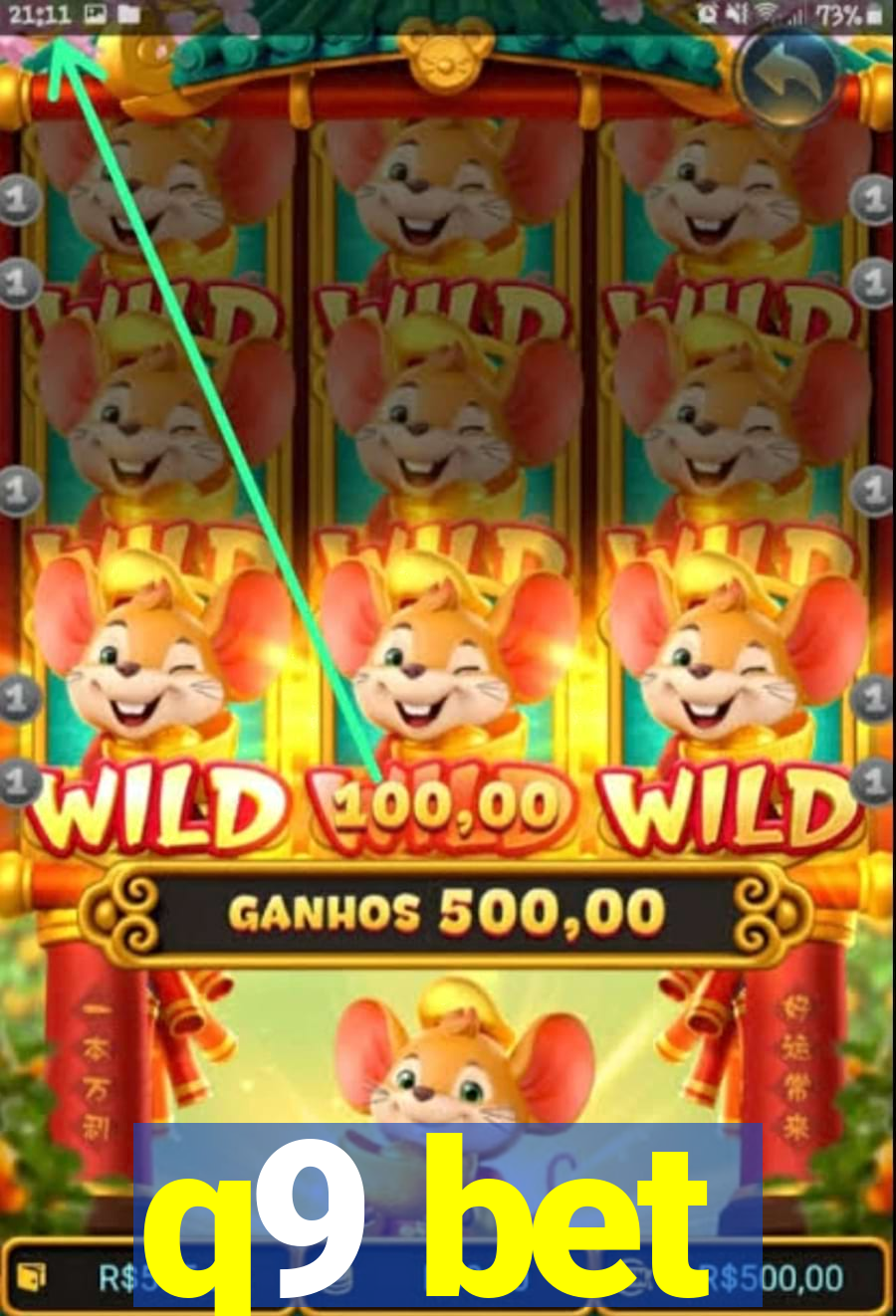 q9 bet