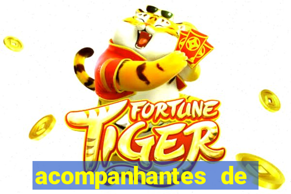 acompanhantes de porto seguro