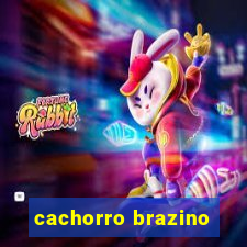 cachorro brazino
