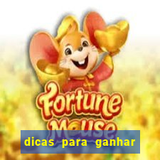 dicas para ganhar no fortune rabbit