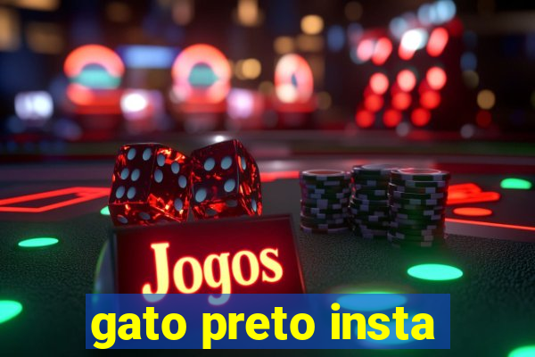 gato preto insta