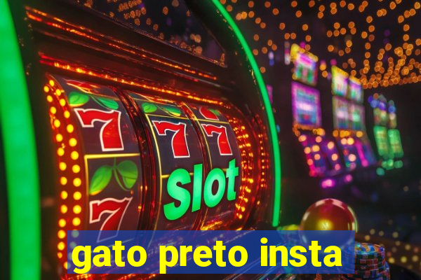 gato preto insta