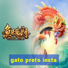 gato preto insta