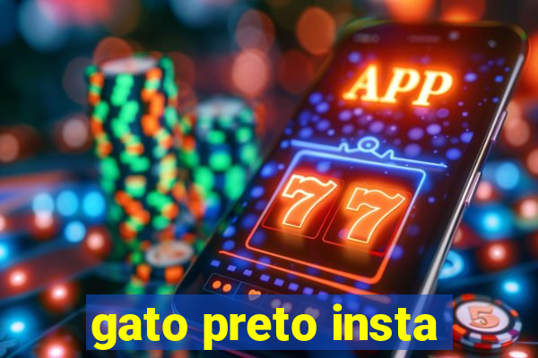 gato preto insta