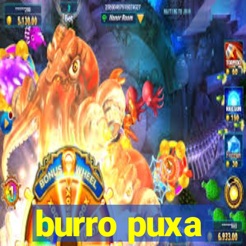burro puxa