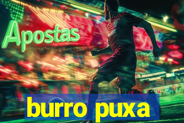 burro puxa