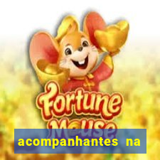 acompanhantes na vila nova cachoeirinha sp