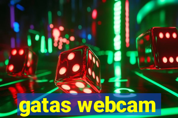 gatas webcam