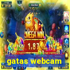 gatas webcam