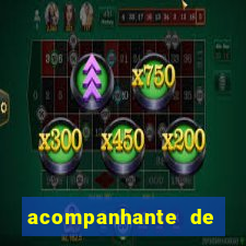 acompanhante de feira de santana
