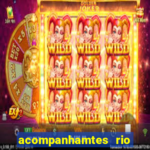 acompanhamtes rio de janeiro
