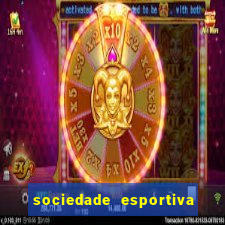 sociedade esportiva palmeiras x botafogo futemax