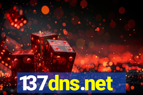 137dns.net