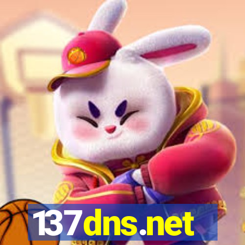137dns.net