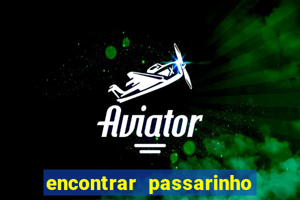 encontrar passarinho morto significado