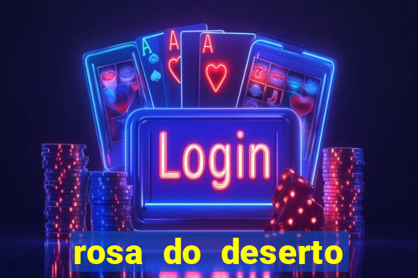 rosa do deserto lilac frost