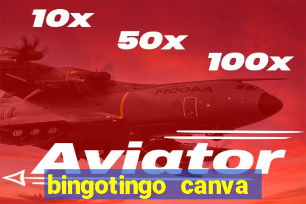 bingotingo canva pro gratis