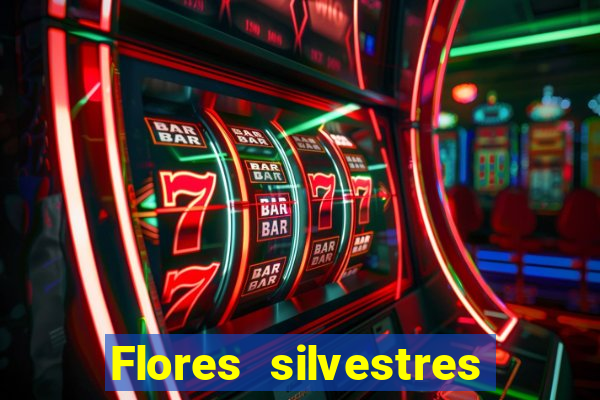 Flores silvestres brasileiras brasileiras flores silvestres nomes e imagens