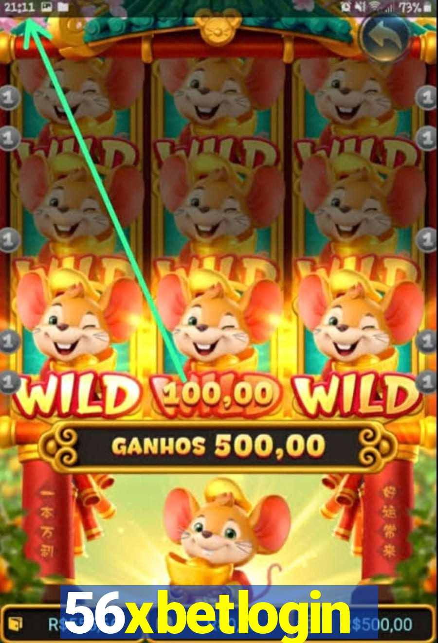 56xbetlogin